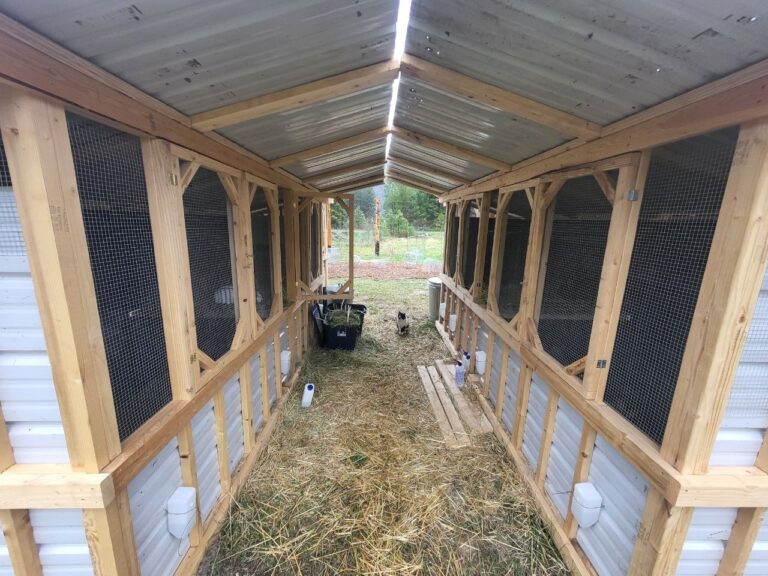 My Rabbit Farm